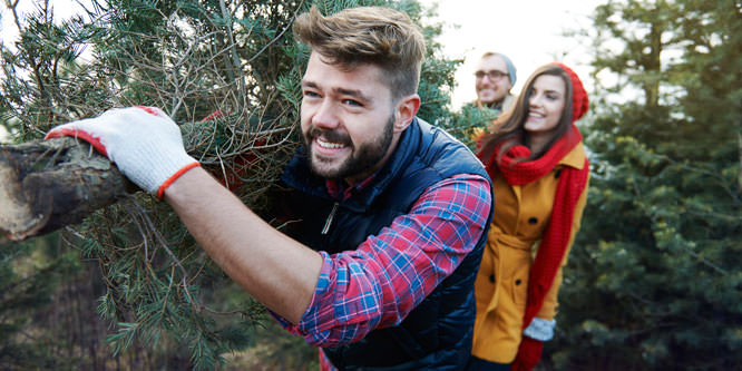 Ten tips to a stress-free, enjoyable and productive holiday