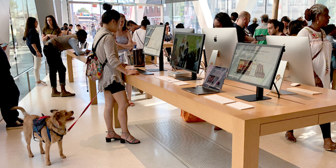 Millennial brand loyalty comes into question