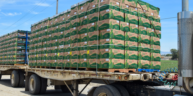 What will it take to dramatically reduce risk in the retail supply chains?